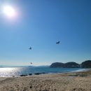 포항참가자미횟집 이미지