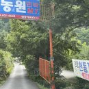 단양천동계곡캠핑장;그린농원 이미지