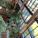 잉어 | 춘천 대형카페 그린보드 후기｜잉어 연못·식물원 분위기 베이커리 카페