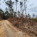 김동석농장 이미지