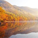 제 439 차 경북 청송 주왕산&주산지 탐방 산행안내 이미지