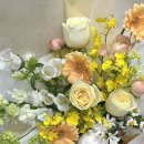 마미플레르 이미지