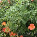 수원천로458번길 이미지