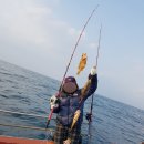 삼척바다배낚시체험 이미지