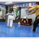 용인대 한얼 태권도 이미지