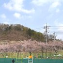 성남시립 양지테니스장 이미지