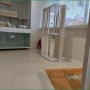 메종드센텀 | 부산 고양이분양, 메종 드 네코 센텀본점 다녀온 후기