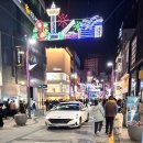 크리스마스 빛축제 중인 부산 광복동 거리 이미지