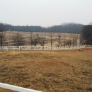 서삼농장 이미지