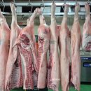 창신유통 이미지