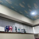 더리턴피부과의원 | 귀필러 내돈내산 후기 ㅣ 청담 피부과의원 에서 요정귀 필러 솔직후기