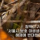 [공동성명서] 청딱다구리 ‘서울시 보호 야생생물’ 해제에 반대한다! 이미지