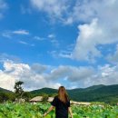 신기마을(연꽃세상) | [250815-16]낭만을 채우러 떠난 촌캉스 외암민속마을 신창댁 민박 후기