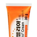 아젤리아 이미지