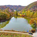 계룡 낚시터 이미지