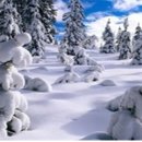 화곡고교 이미지