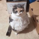 서현역.AK플라자 이미지