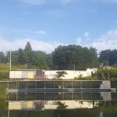 천동낚시 이미지