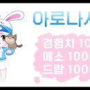 아로나 메이플. 사수 석궁 후기 . 자쿰 파풀라투스 후기 .태성후기