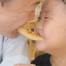 쉐프아이가(경산점) | 경산 남매지 양식이 맛있는 집, 신상 오픈한 퓨전 양식집 '어여'에서 가족 외식 후기