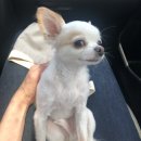 두류동물병원 이미지