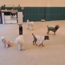 맡겨보개 이미지