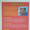 시골홍어집 이미지