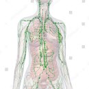 웰니스헬스 제이필라테스 요기요가 이미지