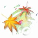 이용근농장 이미지