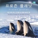 프로즌 플래닛 - 상상 너머의 세계 지구 끝에 사는 생명의 놀라운 기록 이미지