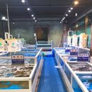 어시장 활어회직거래 판매장 이미지