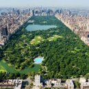 센트럴파크로 이미지