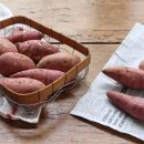 목감시티동물병원 이미지