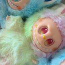 기호목장 이미지