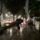 공주-28 | 2025 공주마라톤 후기(25/9/28)