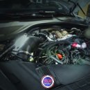 아이언게러지 이미지