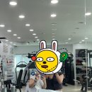케어핏
