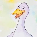 비처럼음악처럼 | 비처럼 음악처럼
