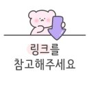 아라비카 호스텔 이미지