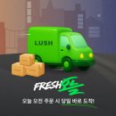 러쉬 지디넷코리아