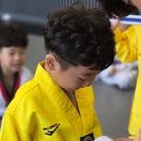 삼봉태권도장 이미지