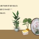 에스제이케미칼 이미지