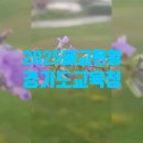 가양초비금분교장 이미지