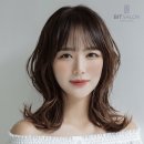 스타일Live 네이버블로그