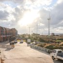 푸른신창 이미지