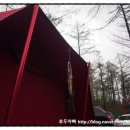 온새미캠핑장 이미지