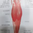 한마음정안한의원 네이버블로그