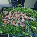 주연농장 이미지