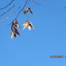 서구-01-31 이미지