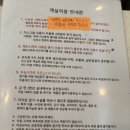 루나디마레 이미지
